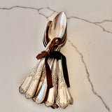 Vintage French Silverware - Spoon Set